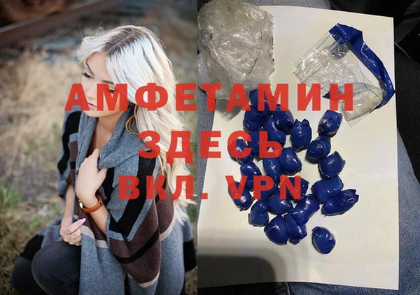 твердый Алексеевка