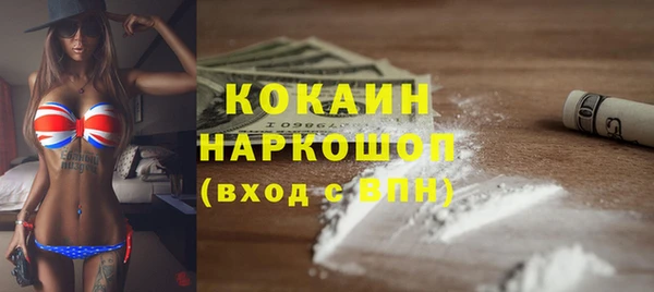 гидра Алзамай