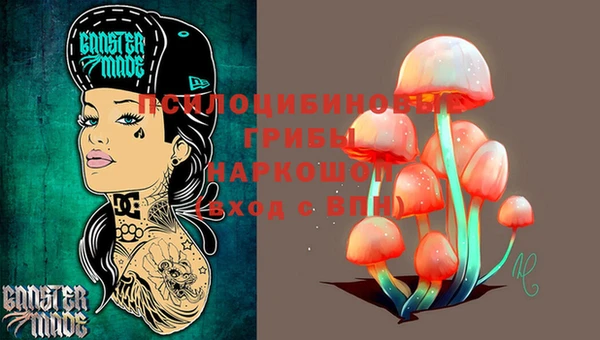 твердый Алексеевка
