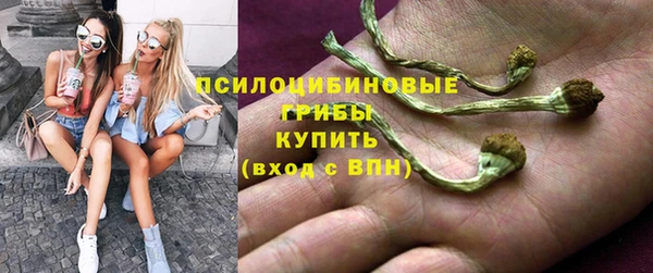 не бодяженный Алексин