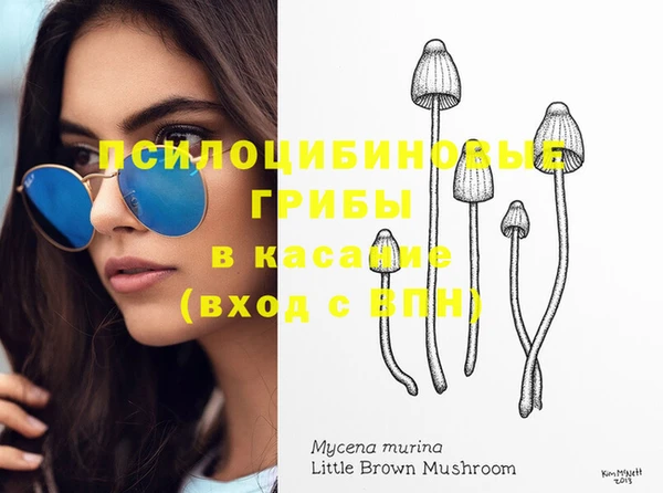 твердый Алексеевка